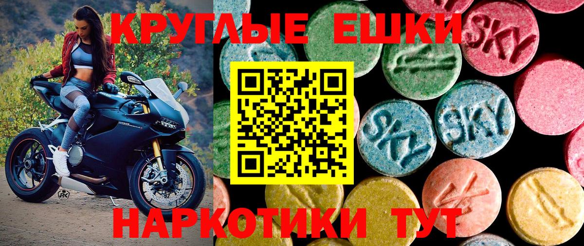 Азнакаево  Экстази Philipp Plein  Вход с VPN 