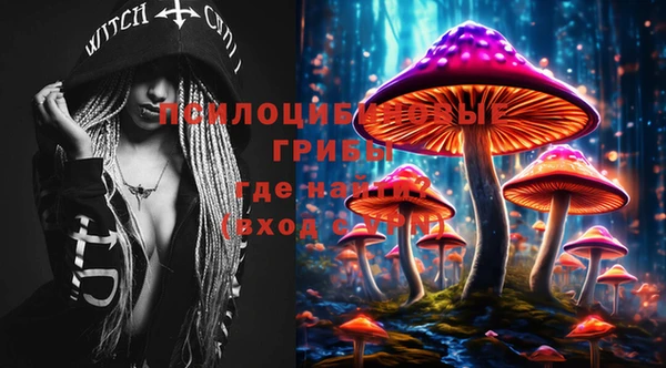 марки lsd Абаза