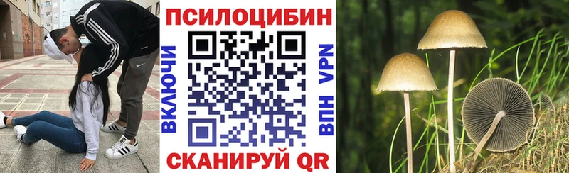 Галлюциногенные грибы прущие грибы Азнакаево