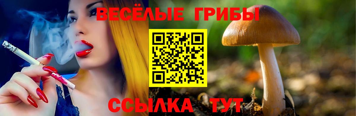 Азнакаево  купить  цена  Вход с VPN  Галлюциногенные грибы Psilocybe 