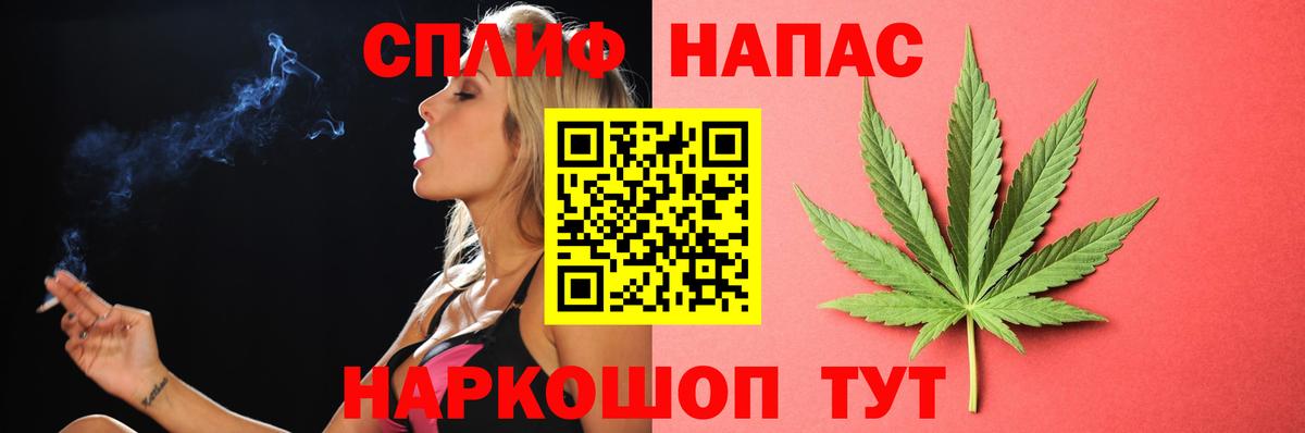 Каннабис сатива Азнакаево